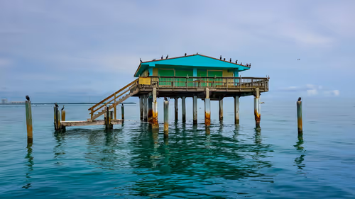 Item #32571599381915271373932081734413523199662368028101372806219517591939385917441 Media