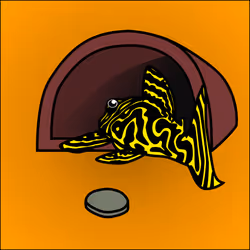 81664083123670143983968740139941474364733981378414170565535210396533158576129