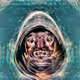 65292122269748475598188818082827048801767461707497972781391066556826285768705