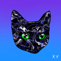 XXCAT V001VT
