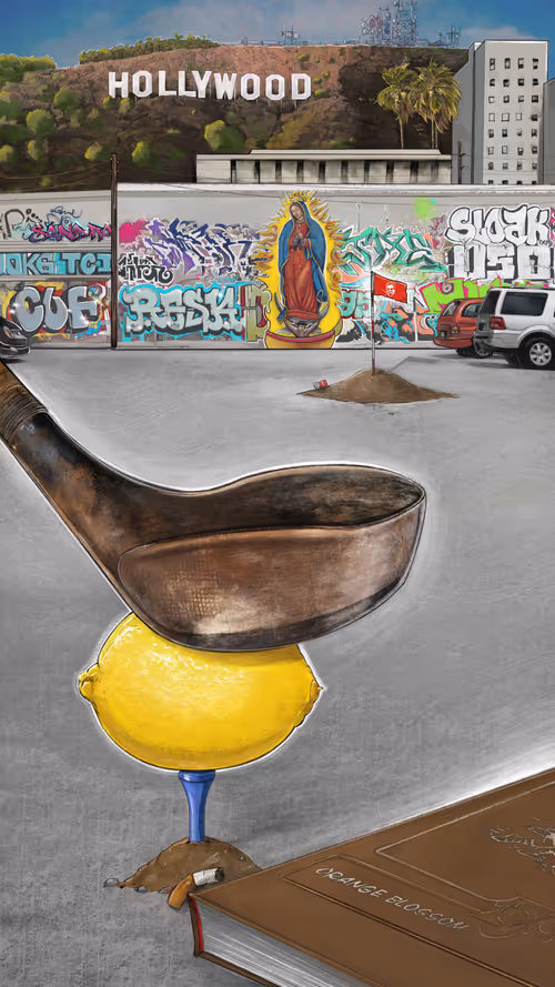 Item #39835803958153195234699586175183160515386172437121324641327801238664949792769 Media