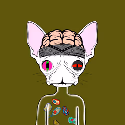 34873812164307216348098882234164432698330200179416964192026050736225393836033