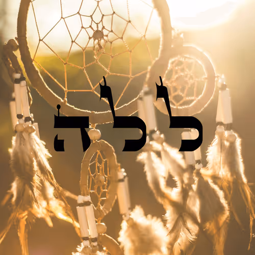 Item #60261209402415139582755570421670089329548312864668202741056926939977432956929 Media