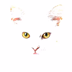 23538819986925566434507765811444276093104658907602947149672917160188998320129