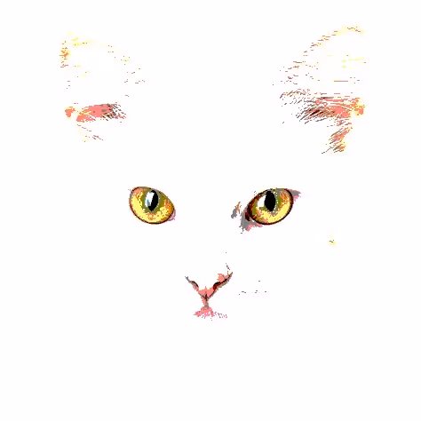 Item #23538819986925566434507765811444276093104658907602947149672917160188998320129 Media