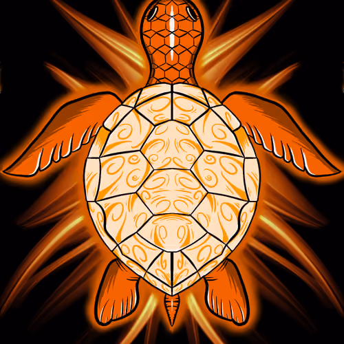 Trippy Shell #28