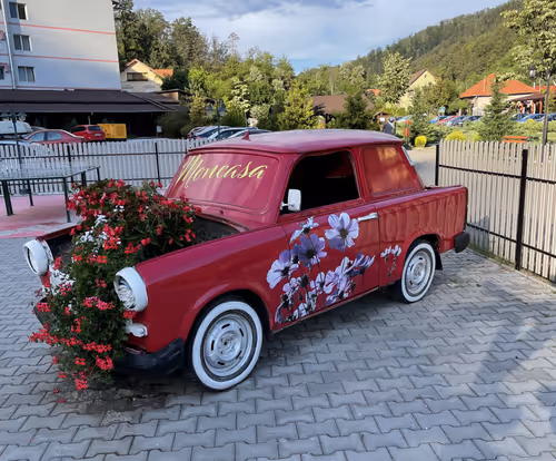 Item #15253030058562173457139699974703375529158224480992516037764587905481871196165 Media