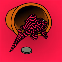 81664083123670143983968740139941474364733981378414170565535211910560670023681