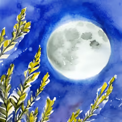 Storybook Moon #25