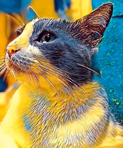 Item #52037463106761298227680409496096747897373796907388217305451389250395042742273 Media