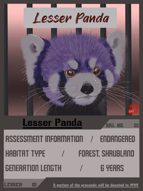 Item #29794620023727816326169776907432812576666146443669256838517477371648443154433 Media