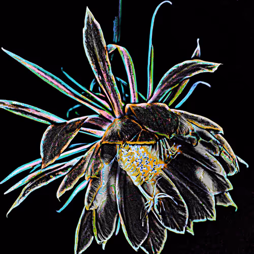 Item #11128123256113201505825332092376579448973501376012613523417643021686391439361 Media