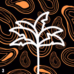 Crypto Palmz #3