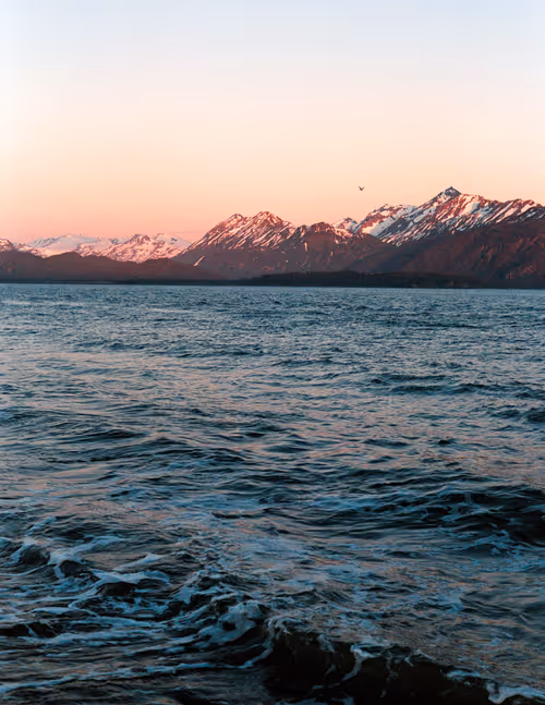 Item #86204936525623062478772312076709802278598486618652010465124009077911075160065 Media