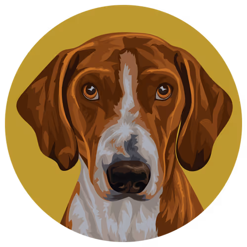 54766349128176429303044182404049584425310907481653304317570414005699123085313