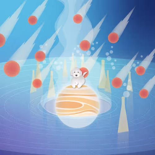 Item #74419643680197572300284413733110975690403652138453821281190640315637564440577 Media