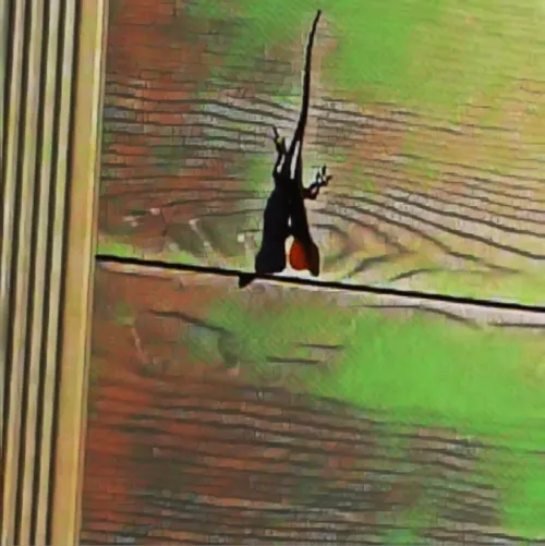 Item #6822172971026890418880562505450227759252596580722353794181564532785655316481 Media