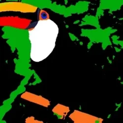 Toucan Love