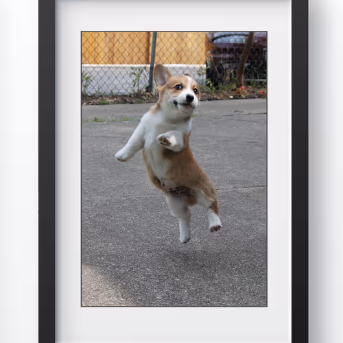 Corgi Refirbarmv