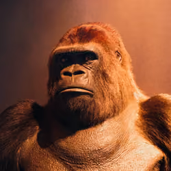 Ape001
