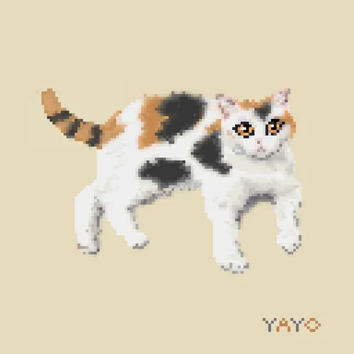 Item #13080766421190555612307919645379576803990371461875354718024555239873211006986 Media