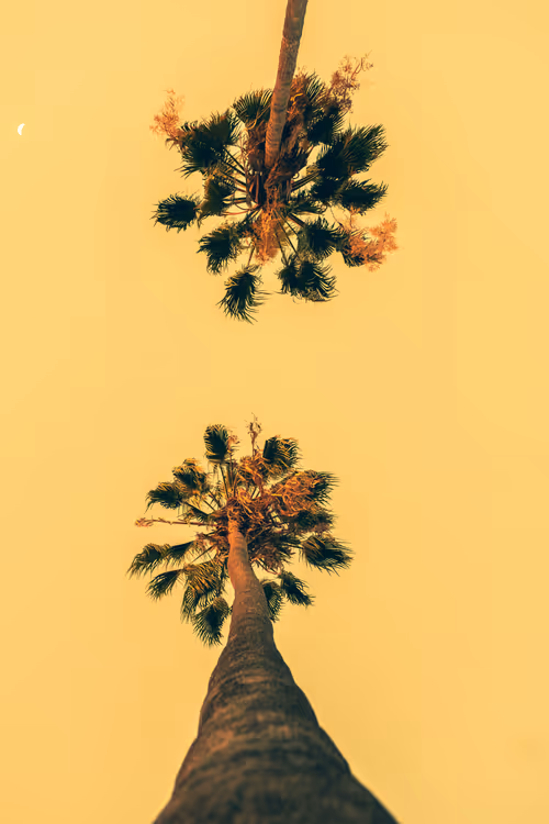 Item #35557780727049604459658880725917592814256363748111026780455796766200196759553 Media