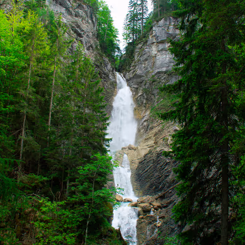 N Ature Ft By Frko