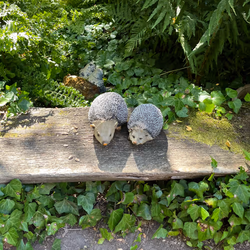 Monicacollection Collection - old