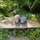 Monicacollection Collection - old