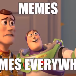 Memes Everywhere
