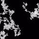 46443140435526123263349023868976142915031731050544552291035459360519379484673