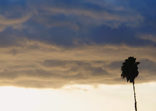 Item #10967797302544997292348367734440924837539759704030790003573127161924374495233 Media