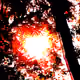 112326137046665472805480755409675933379097181074611557357720252096078573207553