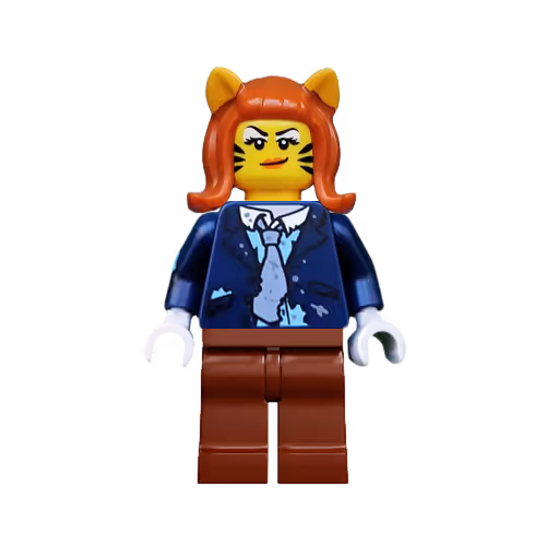 71946527029794789900267572025294951371998418751885670326679076401379543089153