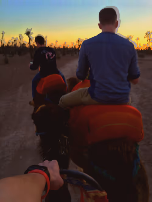 Item #51690675638909644790966826113213763437997288927381309606437552006685561716737 Media