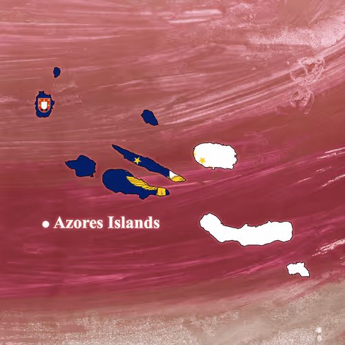 Item #11976756734337970498208291233410958730184699917260792952346209276030598774785 Media