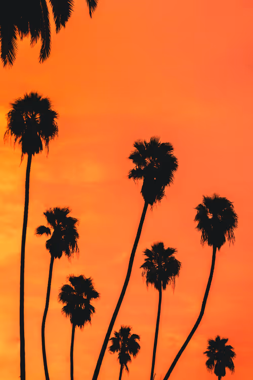 Item #35557780727049604459658880725917592814256363748111026780455796764001173504001 Media