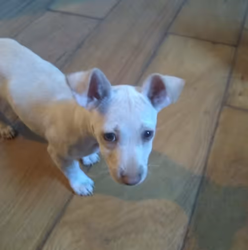 Item #88142627878123552719418414436349779186093070169492411586148426330634411048961 Media