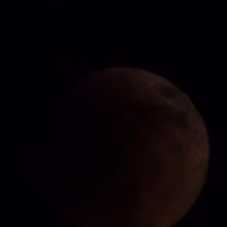 Super Flower Blood Moon #40