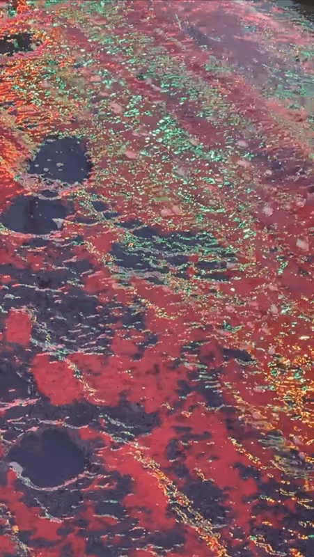 Item #62402000334580523921237358418718502457721815832787791947048085110078643896321 Media