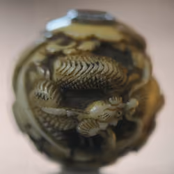 Coiled Dragon