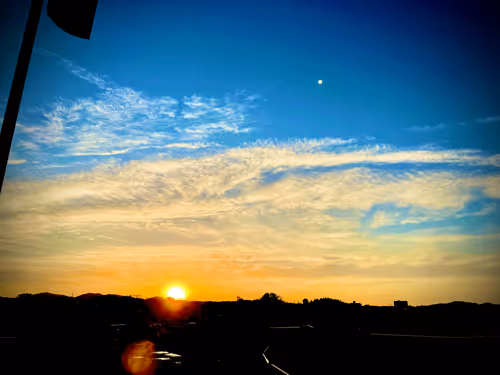 Item #21226432917160216179699714668297725626108258073525100821406135241195693015041 Media