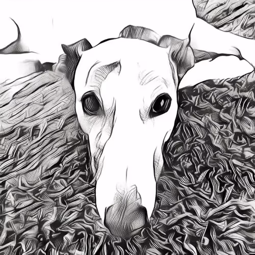 113233535435930126246803406212525192330824104616936385021501681247392014270465