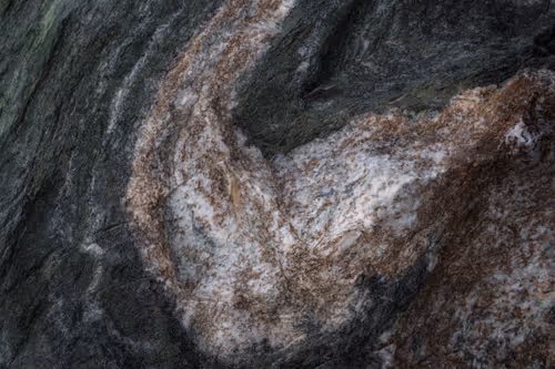 Item #89716942802498903345130334803239853703441552995015827228005889615906031534081 Media