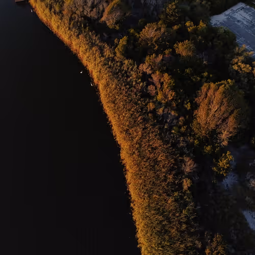 90554348501187123483596379168260119643540702018194998506702136850246558285834