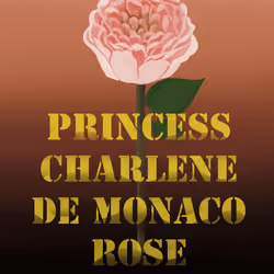 CARD Princess Charlene De Monaco Rose 