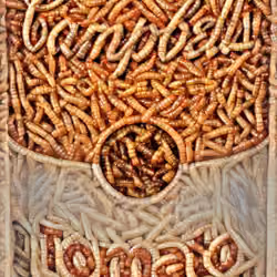 Iconic Can (of Worms)