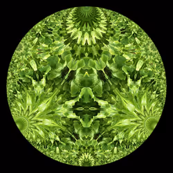 78025697421519854394745813997348957843608354579108460228935444789611064197121