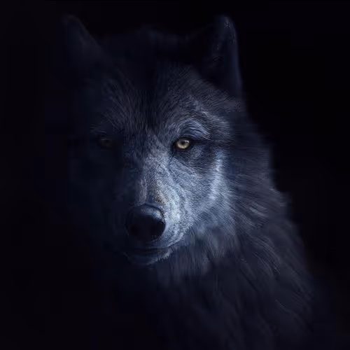 Alpha