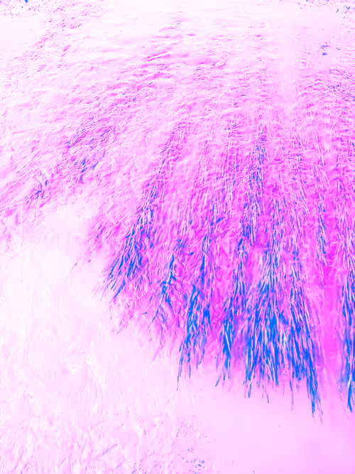 Item #98843954857266856101330559780238873570552098425130206222908041954982635765761 Media